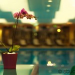 Iaki Spa Amenajare Design Welcome