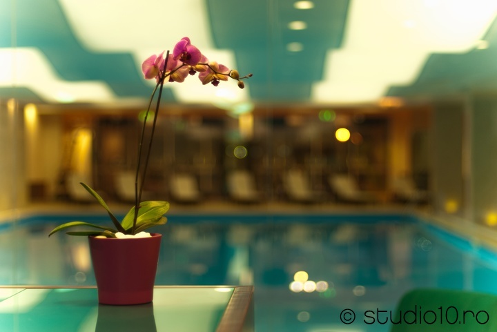 Iaki Spa Amenajare Design Welcome